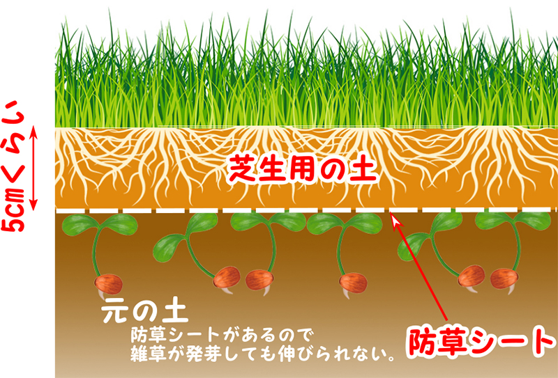 除草剤を使わない芝生に雑草がはえない方法 断面図