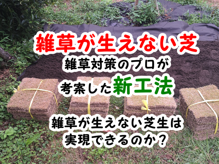 雑草が生えない芝 (その1)雑草対策のプロが考案した新工法。雑草が生え