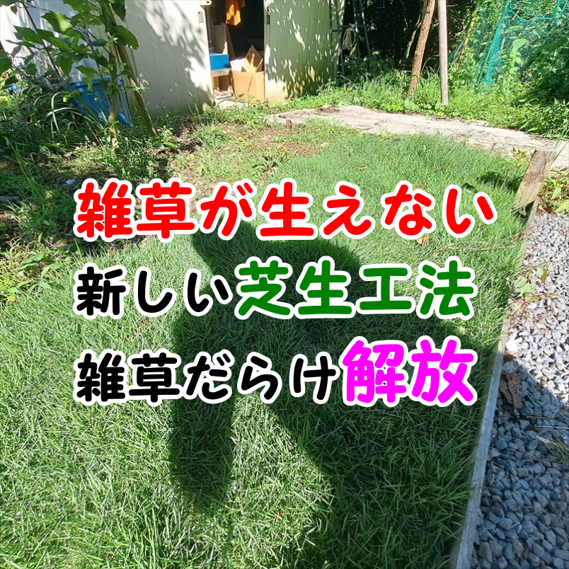 雑草が生えない芝生 メンテナンス これだけで雑草だらけの庭から解放