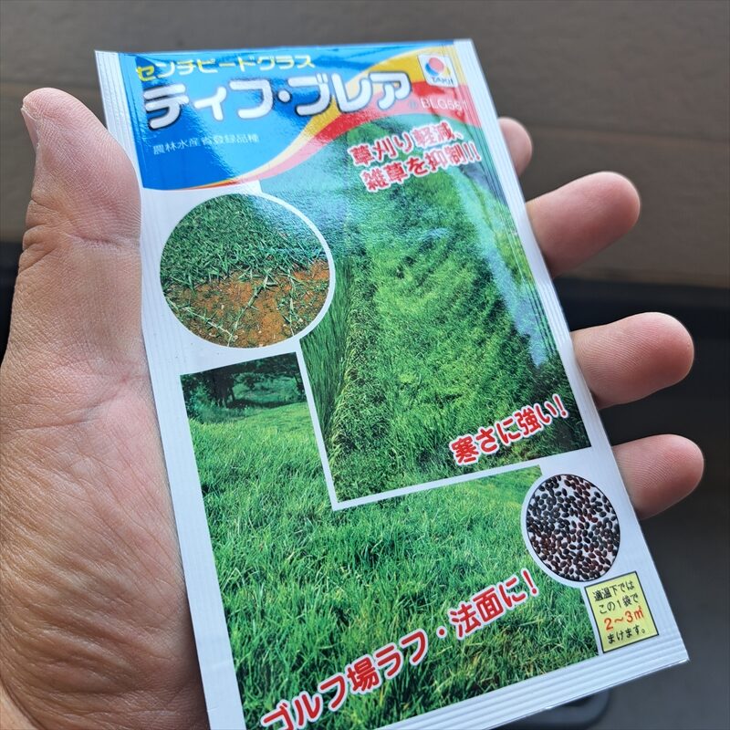 ティフブレア 種まき